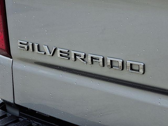 2020 Chevrolet Silverado 1500 Vehicle Photo in PAWLING, NY 12564-3219