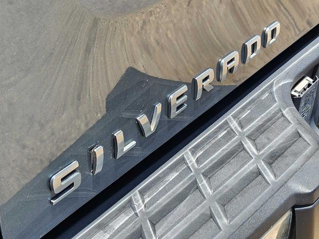 2007 Chevrolet Silverado 1500 Vehicle Photo in DENTON, TX 76210-9321