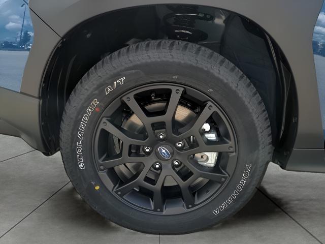 2024 Subaru Crosstrek Vehicle Photo in Green Bay, WI 54304