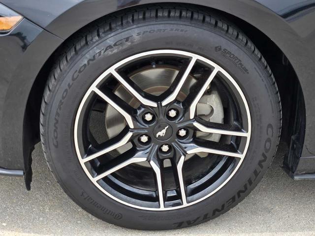 2022 Ford Mustang Vehicle Photo in DENTON, TX 76210-9321