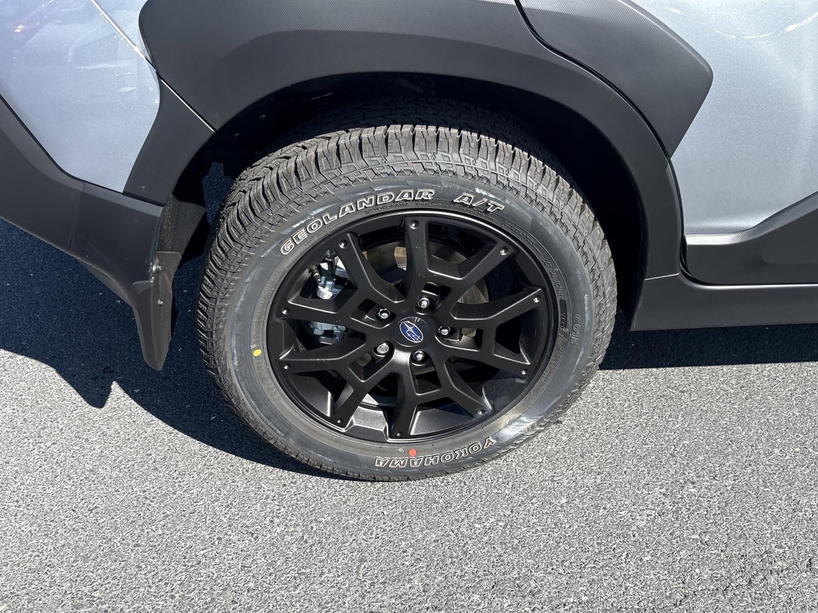 2025 Subaru Crosstrek Vehicle Photo in Mechanicsburg, PA 17050