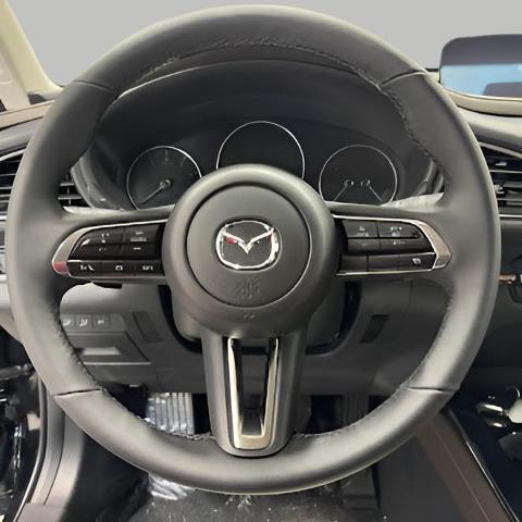 2025 Mazda CX-30 Vehicle Photo in Green Bay, WI 54304