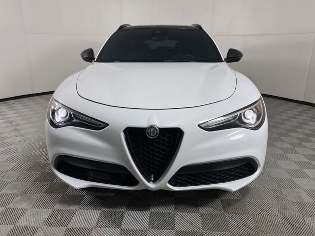 2019 Alfa Romeo Stelvio Vehicle Photo in MEDINA, OH 44256-9001