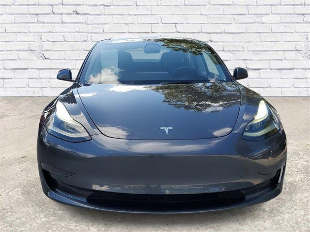 2023 Tesla Model 3 Vehicle Photo in SUNRISE, FL 33323-3202