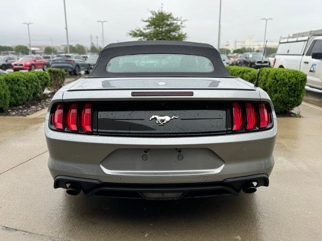 2023 Ford Mustang Vehicle Photo in San Antonio, TX 78230