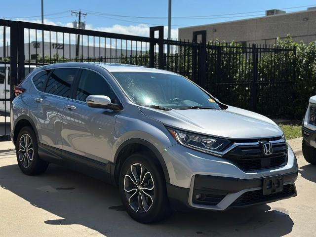 2020 Honda CR-V Vehicle Photo in San Antonio, TX 78230