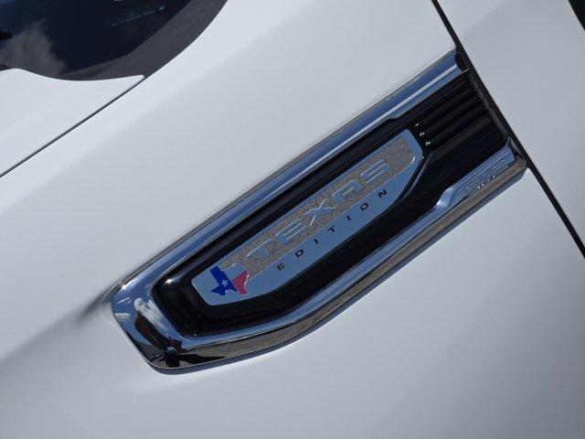 2020 GMC Sierra 1500 Vehicle Photo in Decatur, TX 76234
