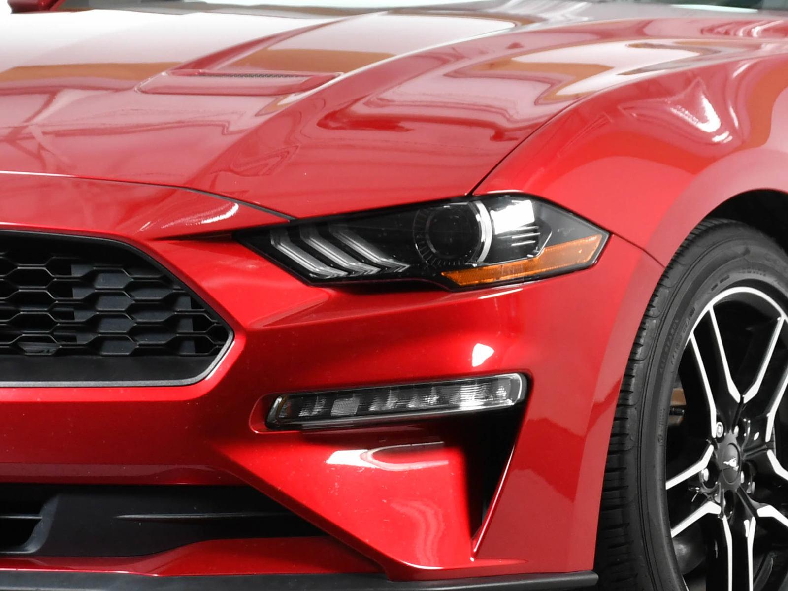 2021 Ford Mustang Vehicle Photo in DALLAS, TX 75235