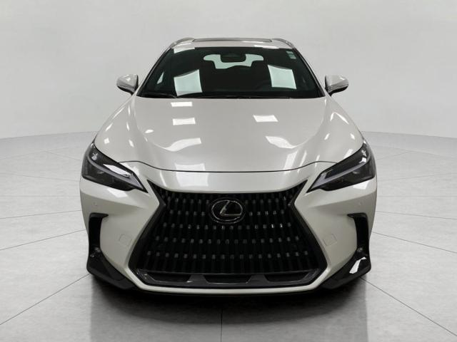 2025 Lexus NX 350h Vehicle Photo in Appleton, WI 54913