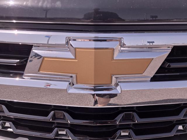 2023 Chevrolet Silverado 1500 Vehicle Photo in NEDERLAND, TX 77627-8017