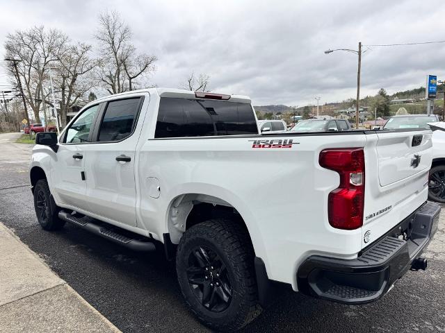 2025 Chevrolet Silverado 1500 Vehicle Photo in FAIRMONT, WV 26554-2318