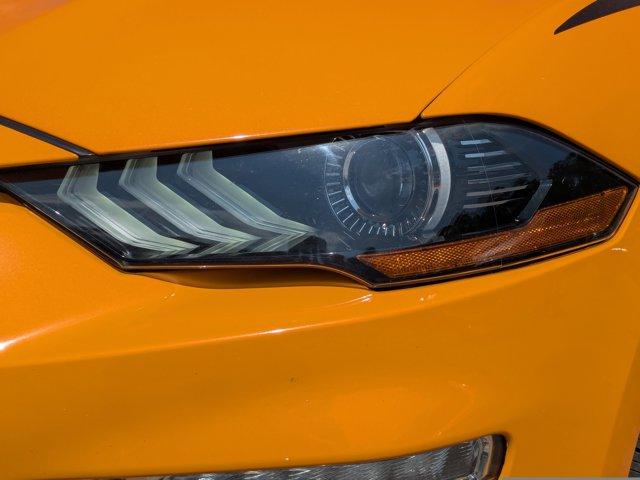 2019 Ford Mustang Vehicle Photo in BEAUFORT, SC 29906-4218