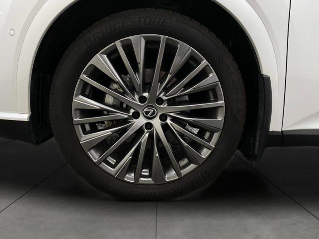 2024 Lexus RX 350 Vehicle Photo in Appleton, WI 54913