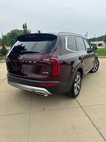2020 Kia Telluride Vehicle Photo in Peoria, IL 61615