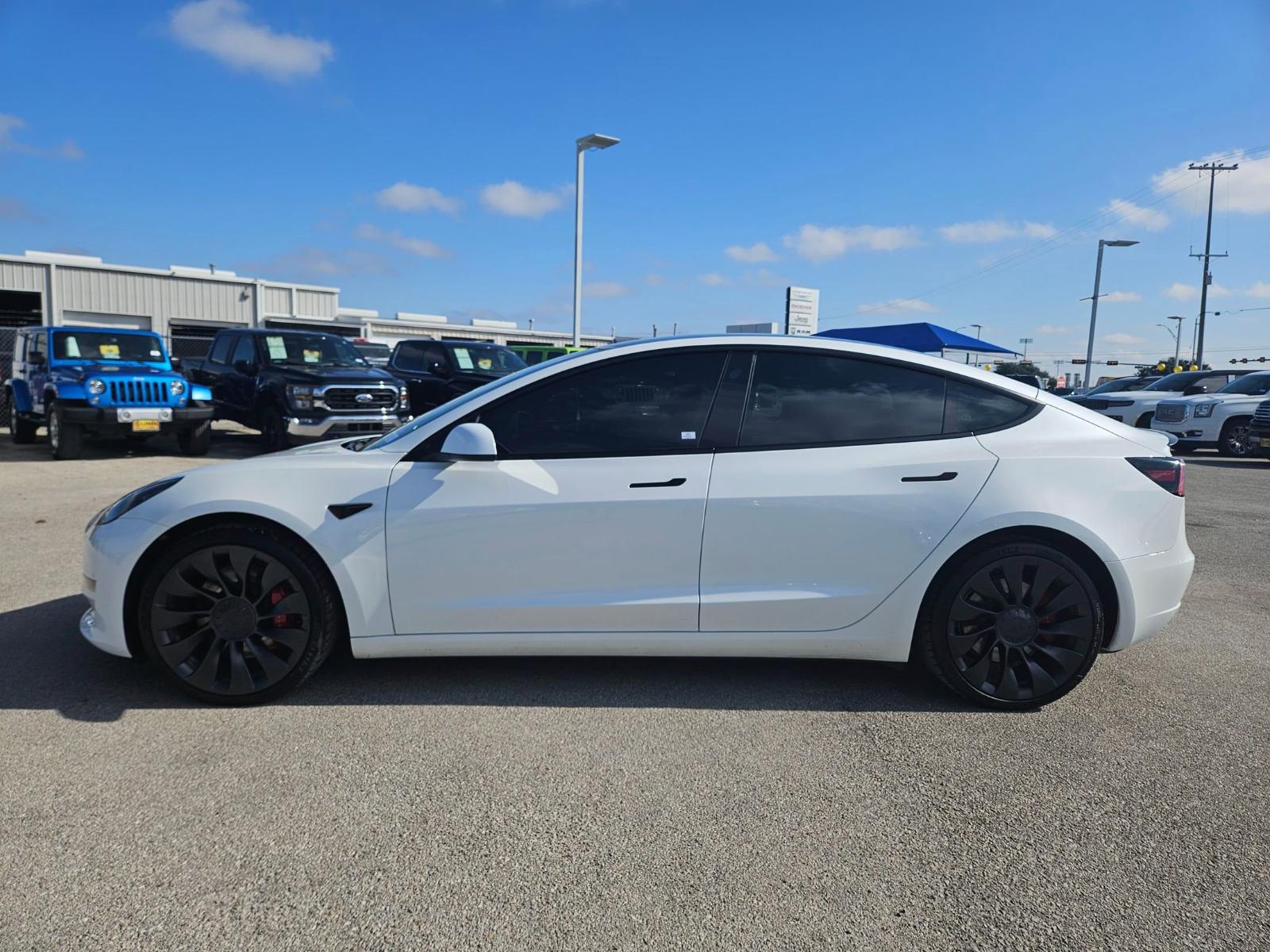 2023 Tesla Model 3 Vehicle Photo in Seguin, TX 78155