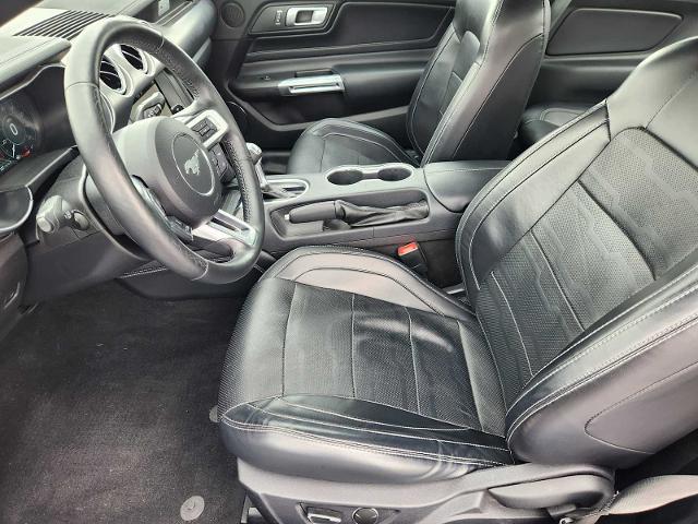 2019 Ford Mustang Vehicle Photo in DALLAS, TX 75209