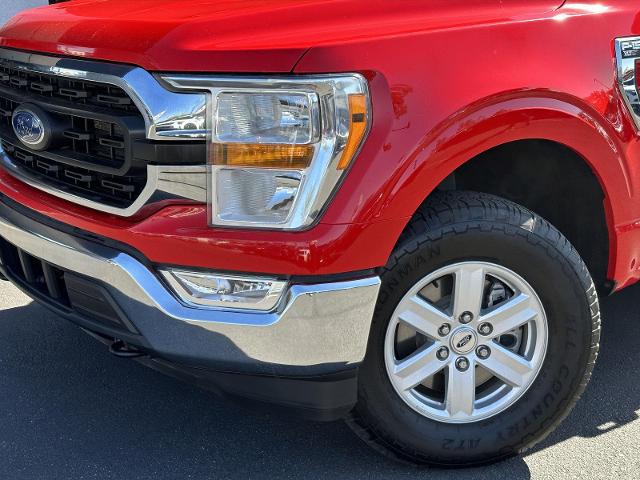 2022 Ford F-150 Vehicle Photo in Tucson, AZ 85712