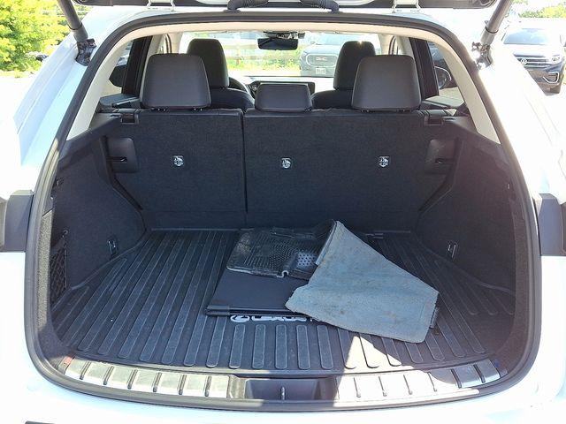 2024 Lexus NX 350h Vehicle Photo in PAWLING, NY 12564-3219