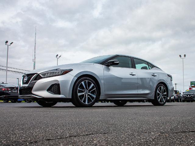 2023 Nissan Maxima Vehicle Photo in MADISON, IN 47250-1611
