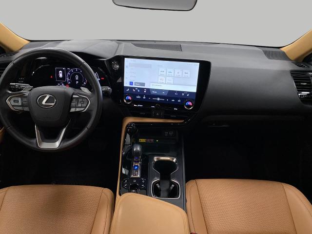 2022 Lexus NX 250 Vehicle Photo in Appleton, WI 54913