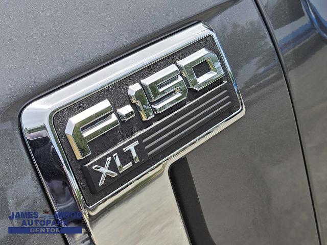 2024 Ford F-150 Vehicle Photo in DENTON, TX 76210-9321