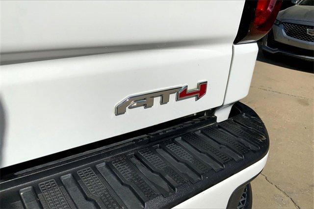2021 GMC Sierra 1500 Vehicle Photo in INDEPENDENCE, MO 64055-1314