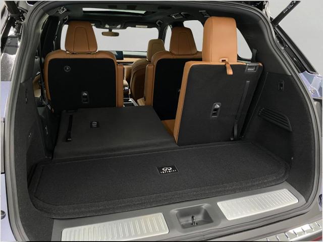 2025 INFINITI QX60 Vehicle Photo in Appleton, WI 54913