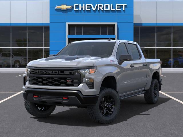 2025 Chevrolet Silverado 1500 Vehicle Photo in POST FALLS, ID 83854-5365