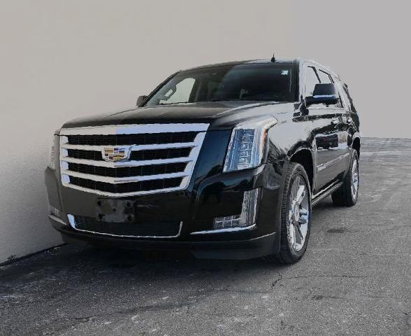 2016 Cadillac Escalade Vehicle Photo in NORWOOD, MA 02062-5222