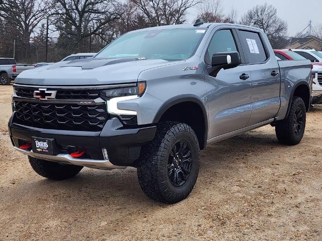 2023 Chevrolet Silverado 1500 Vehicle Photo in PARIS, TX 75460-2116