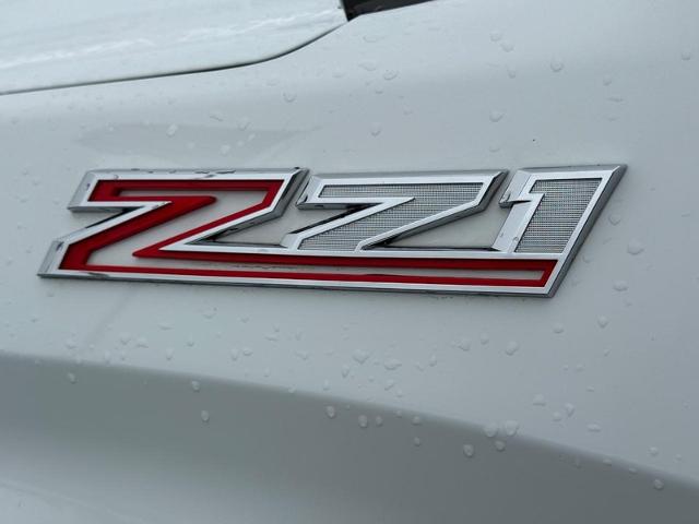 2023 Chevrolet Silverado 1500 Vehicle Photo in COLUMBIA, MO 65203-3903