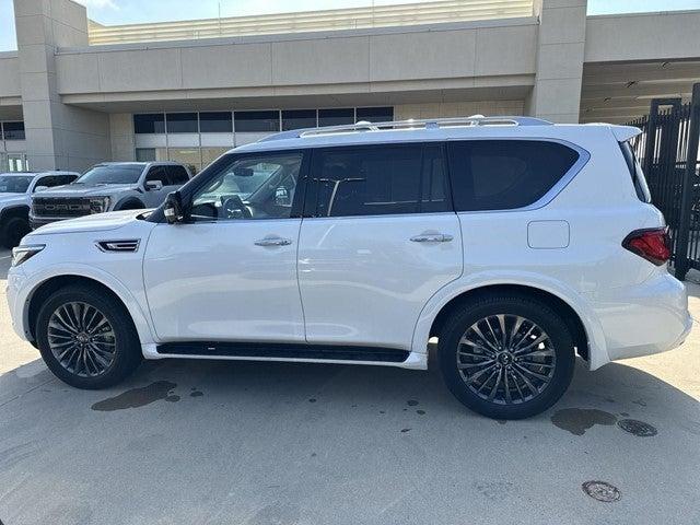 2024 INFINITI QX80 Vehicle Photo in Grapevine, TX 76051