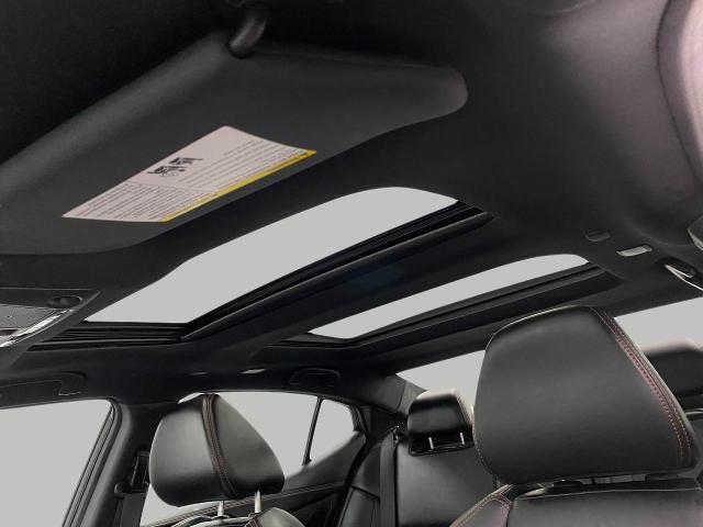 2019 Nissan Maxima Vehicle Photo in Appleton, WI 54913