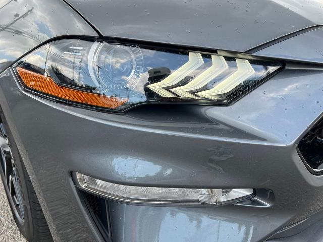 2022 Ford Mustang Vehicle Photo in Brunswick, GA 31525