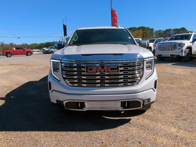 2025 GMC Sierra 1500 Vehicle Photo in ALBERTVILLE, AL 35950-0246