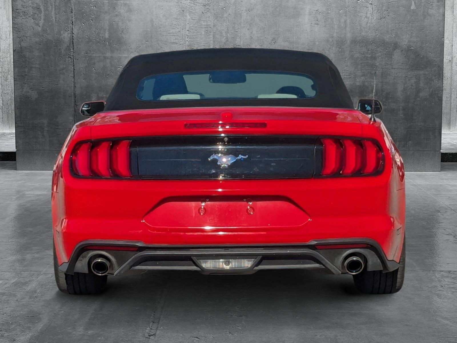 2019 Ford Mustang Vehicle Photo in St. Petersburg, FL 33713