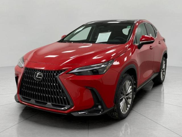 2025 Lexus NX 350h Vehicle Photo in Appleton, WI 54913