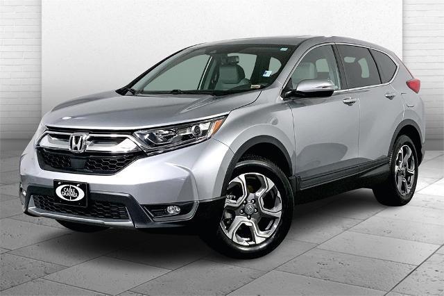 2019 Honda CR-V Vehicle Photo in Lees Summit, MO 64086