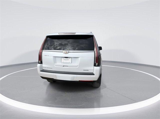 2020 Cadillac Escalade Vehicle Photo in BOWLING GREEN, KY 42104-4102