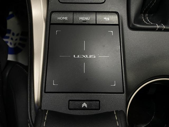 2019 Lexus NX 300 Vehicle Photo in Appleton, WI 54913