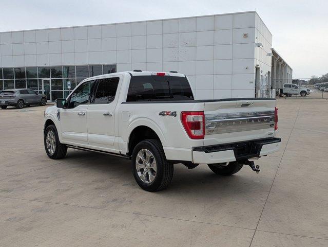 2022 Ford F-150 Vehicle Photo in SELMA, TX 78154-1459