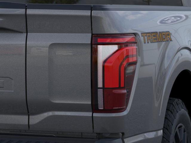 2025 Ford F-150 Vehicle Photo in Weatherford, TX 76087