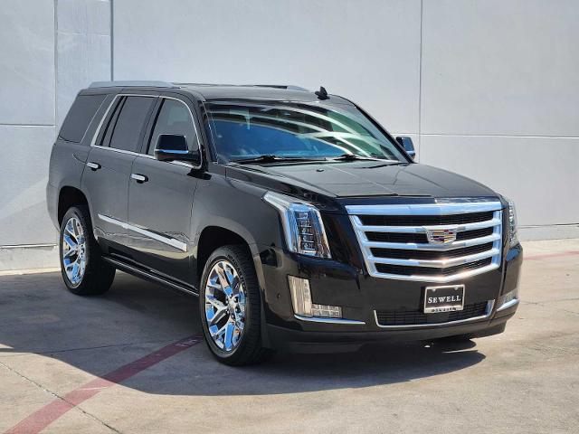 2019 Cadillac Escalade Vehicle Photo in Grapevine, TX 76051