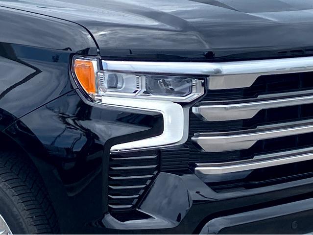 2025 Chevrolet Silverado 1500 Vehicle Photo in SAVANNAH, GA 31406-4513
