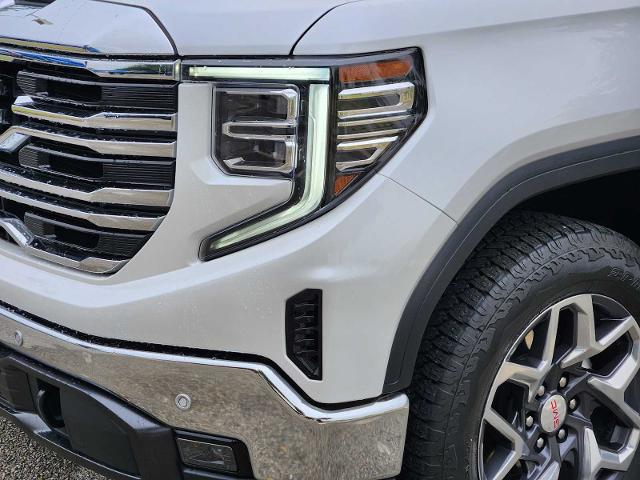 2024 GMC Sierra 1500 Vehicle Photo in DENTON, TX 76210-9321