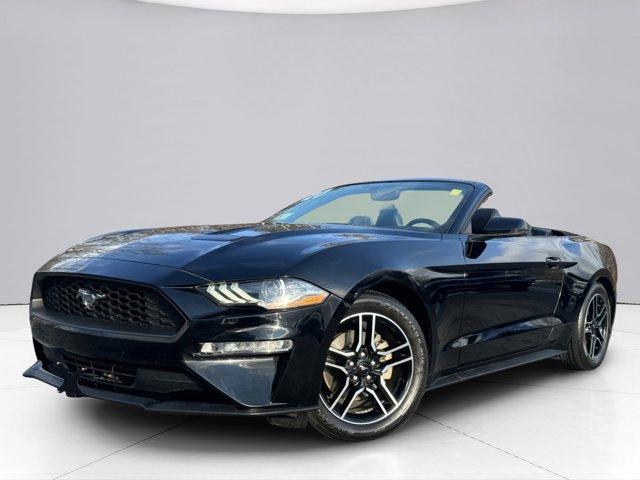 2020 Ford Mustang Vehicle Photo in LEOMINSTER, MA 01453-2952