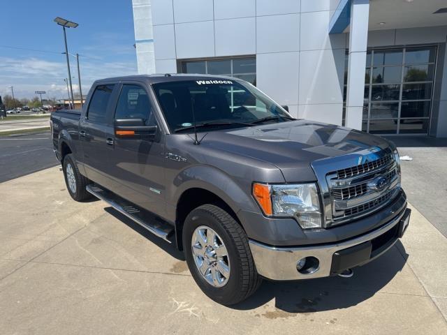 2014 Ford F-150 Vehicle Photo in MANITOWOC, WI 54220-5838