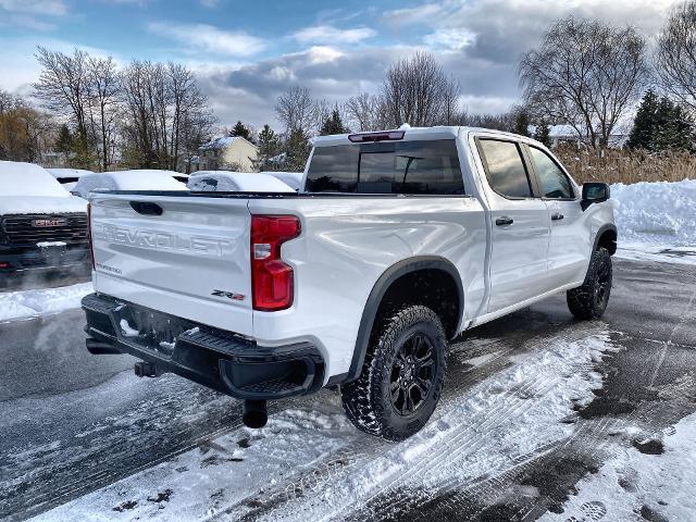 2022 Chevrolet Silverado 1500 Vehicle Photo in WILLIAMSVILLE, NY 14221-2883