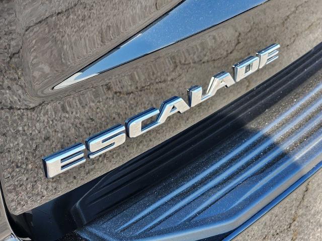 2022 Cadillac Escalade Vehicle Photo in DENTON, TX 76210-9321