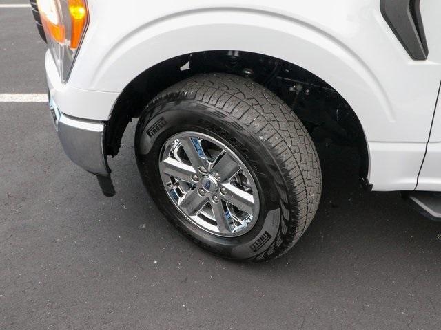 2022 Ford F-150 Vehicle Photo in HOMOSASSA, FL 34448-1461